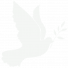 Taube_white